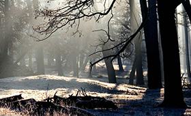 華宇光電,昆明網(wǎng)站建設(shè)，昆明網(wǎng)站設(shè)計(jì)，昆明網(wǎng)站制作,昆明網(wǎng)站建設(shè),云南網(wǎng)站建設(shè),昆明網(wǎng)站設(shè)計(jì),云南網(wǎng)站設(shè)計(jì),昆明網(wǎng)站制作,云南網(wǎng)站制作,商城網(wǎng)站建設(shè),政府網(wǎng)站建設(shè),集團(tuán)網(wǎng)站建設(shè),電商平臺(tái)建設(shè),高端網(wǎng)站建設(shè),微網(wǎng)站建設(shè)