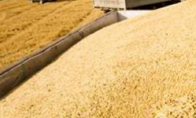 昆明網(wǎng)站建設(shè)|云南網(wǎng)站建設(shè)|昆明網(wǎng)站設(shè)計(jì)|昆明網(wǎng)站制作|云南網(wǎng)站,昆明網(wǎng)站建設(shè),云南網(wǎng)站建設(shè),昆明網(wǎng)站設(shè)計(jì),云南網(wǎng)站設(shè)計(jì),昆明網(wǎng)站制作,云南網(wǎng)站制作,商城網(wǎng)站建設(shè),政府網(wǎng)站建設(shè),集團(tuán)網(wǎng)站建設(shè),電商平臺(tái)建設(shè),高端網(wǎng)站建設(shè),微網(wǎng)站建設(shè)